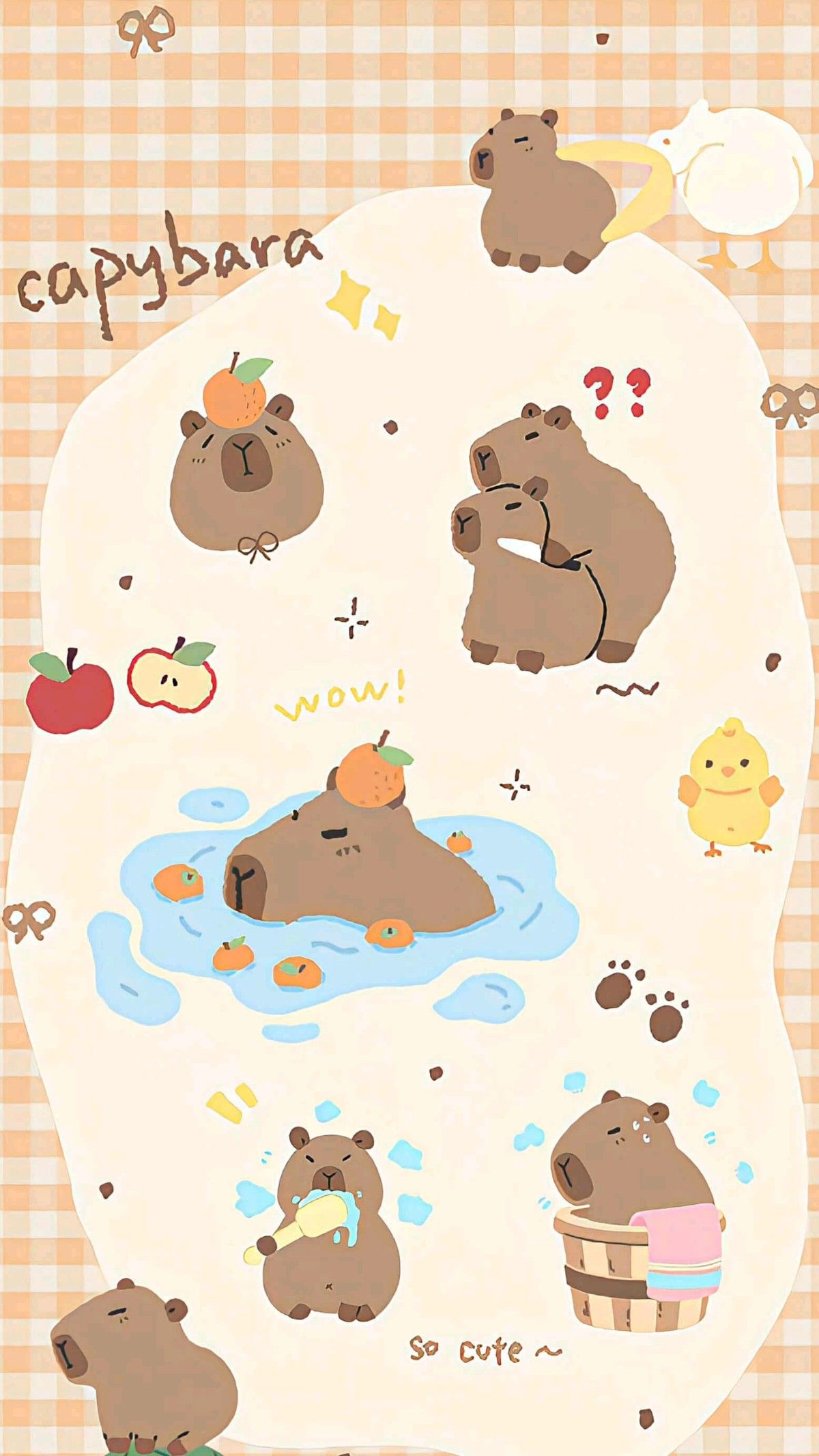 bộ sưu tập hình nền Capybara