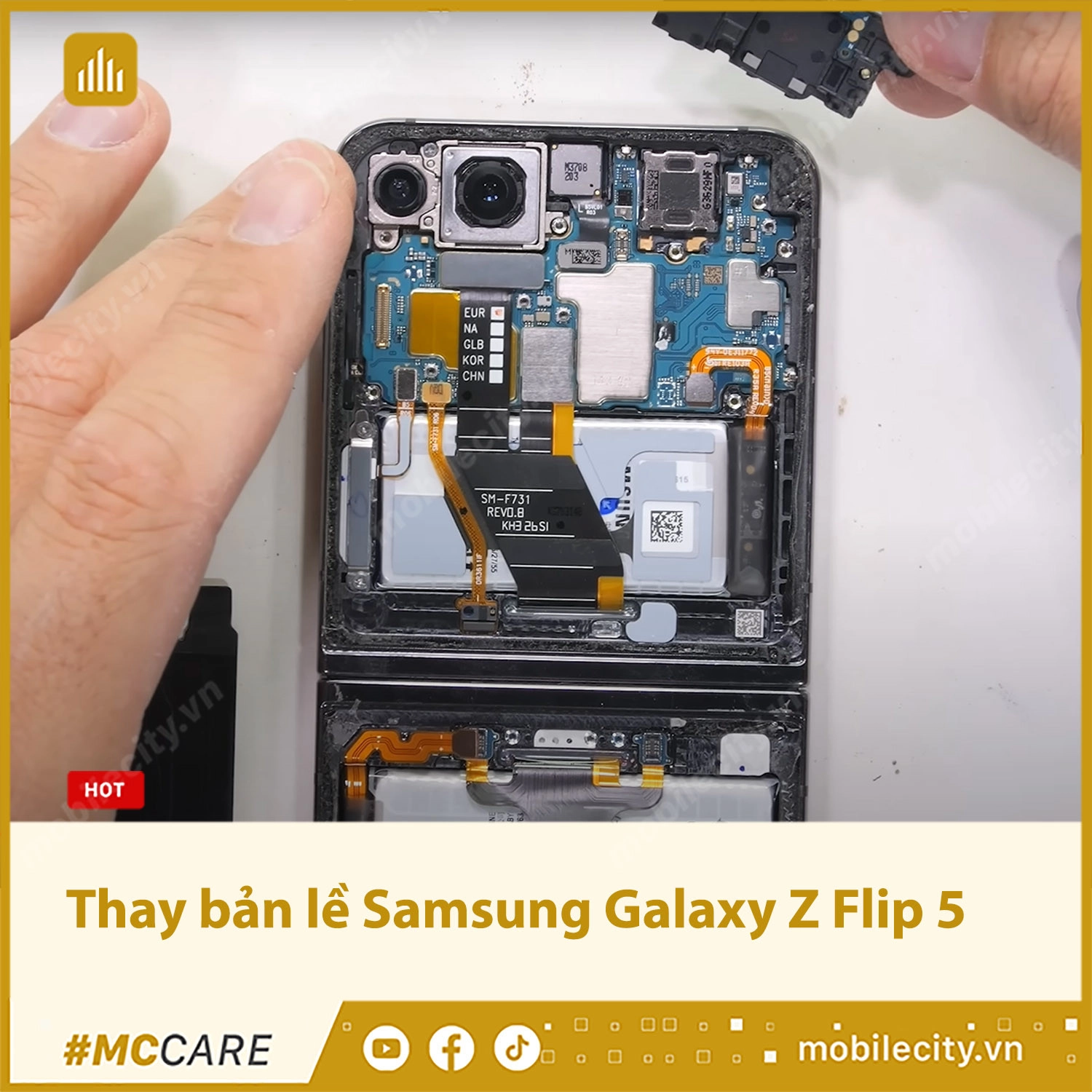 hình nền Samsung Z Flip 5 0068